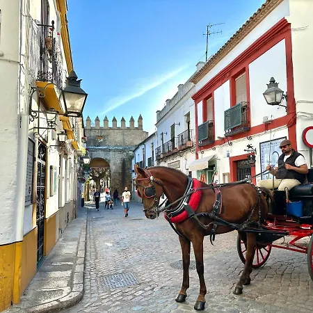 Appartement Kinahouse *